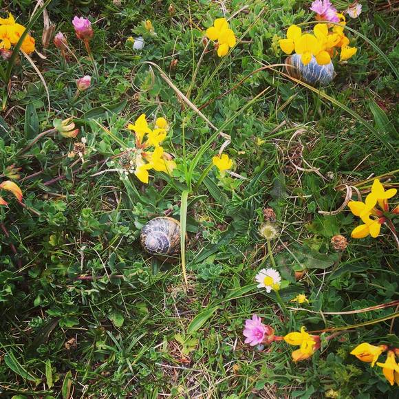 Meet your Posher, Erin(: - Picture 1 of 1